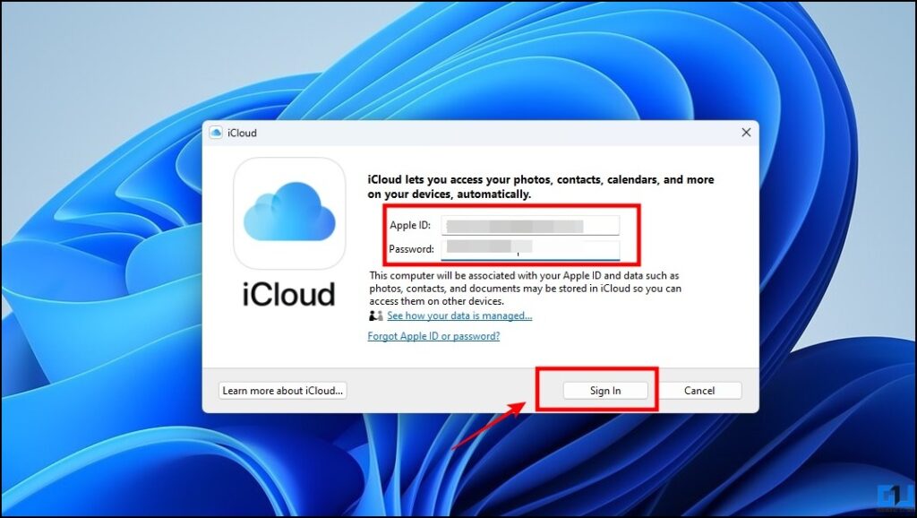 Windows에서 iCloud 사진 사용