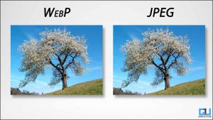Read more about the article 휴대폰이나 PC에서 WebP 이미지를 PNG 또는 JPG로 변환하는 3가지 방법