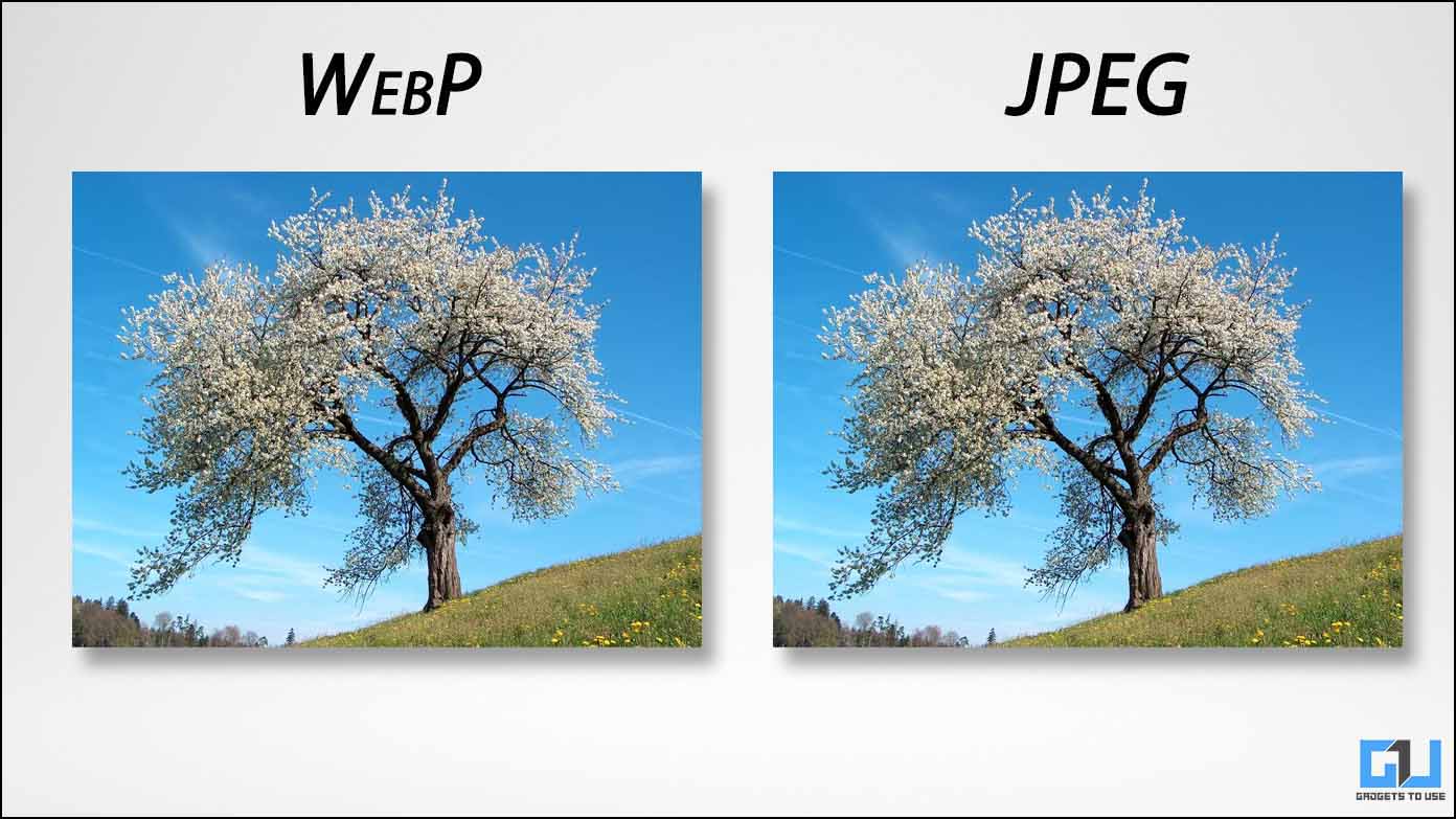 You are currently viewing 휴대폰이나 PC에서 WebP 이미지를 PNG 또는 JPG로 변환하는 3가지 방법
