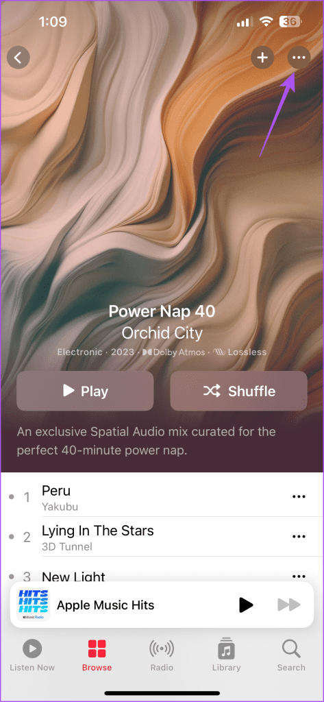 more options playlist apple music iphone