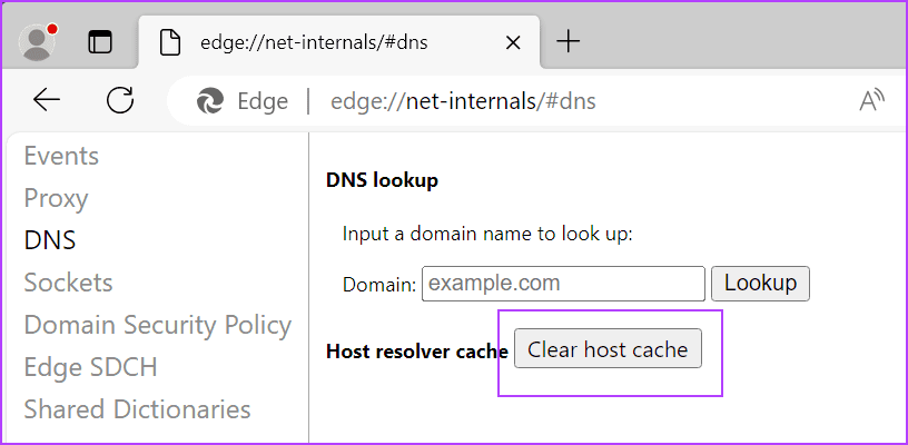Flush Browser DNS Cache 2