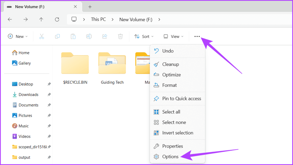 Click the three dot icon in the toolbar and select Options
