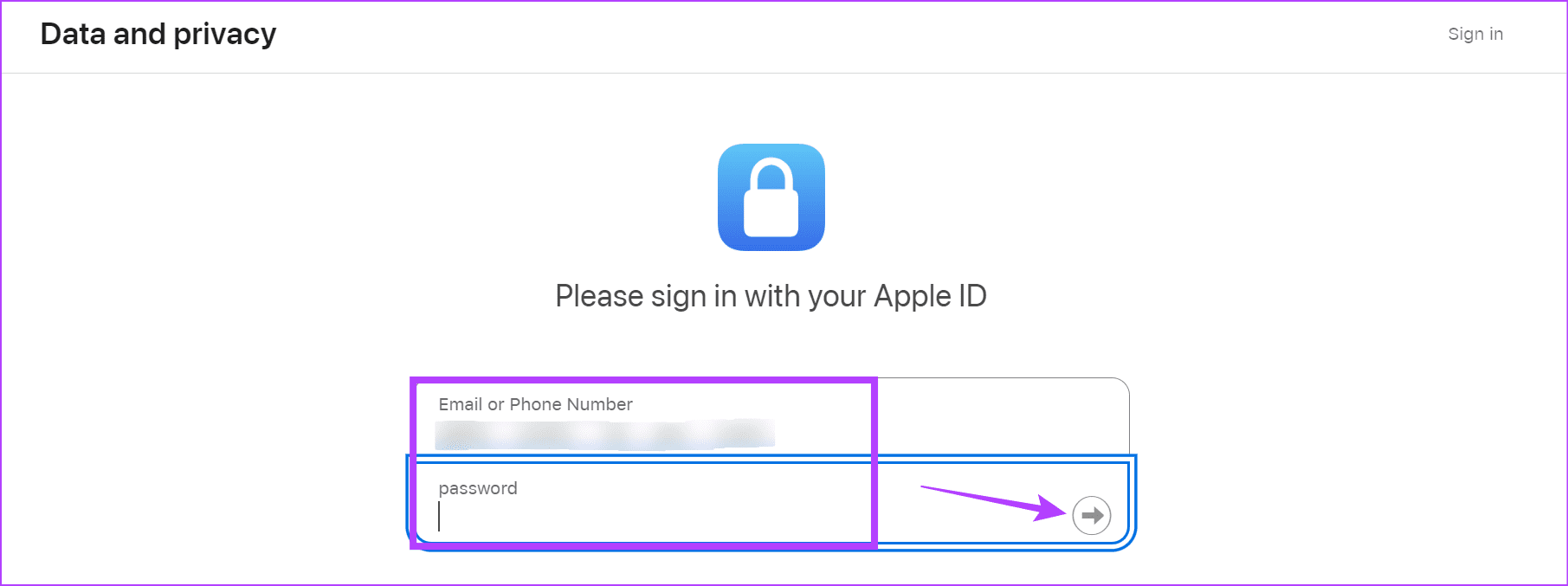 Apple ID 세부정보 입력