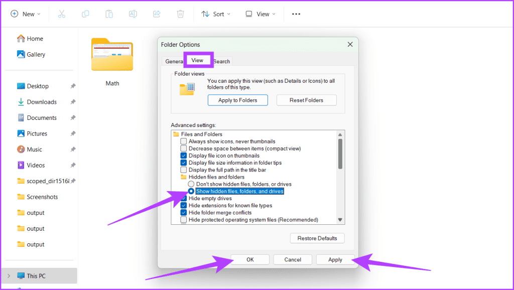 보기 탭으로 이동하여 숨김 파일 폴더 및 드라이브 표시를 선택하고 적용을 누른 후 확인을 클릭하세요.