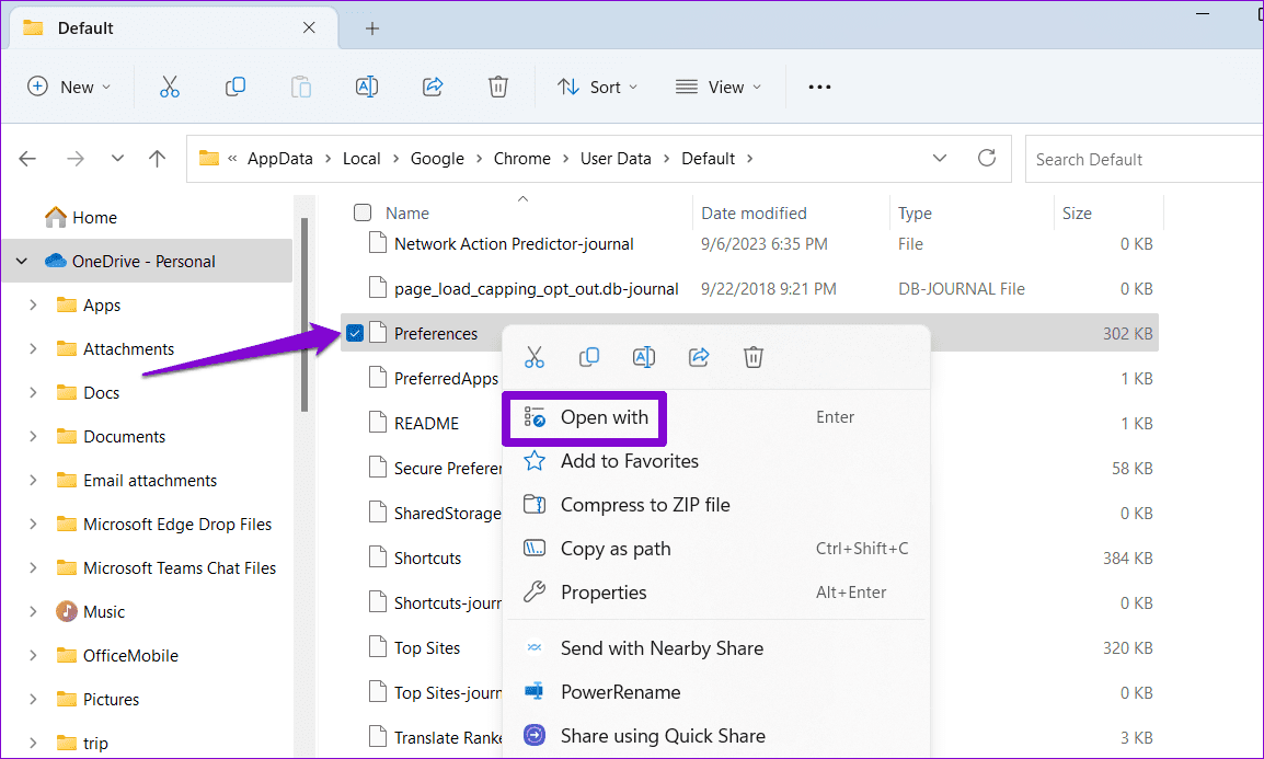 Chrome 환경 설정 파일 열기