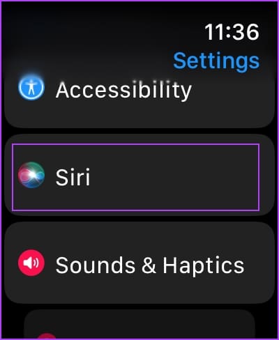 Apple Watch 설정의 Siri